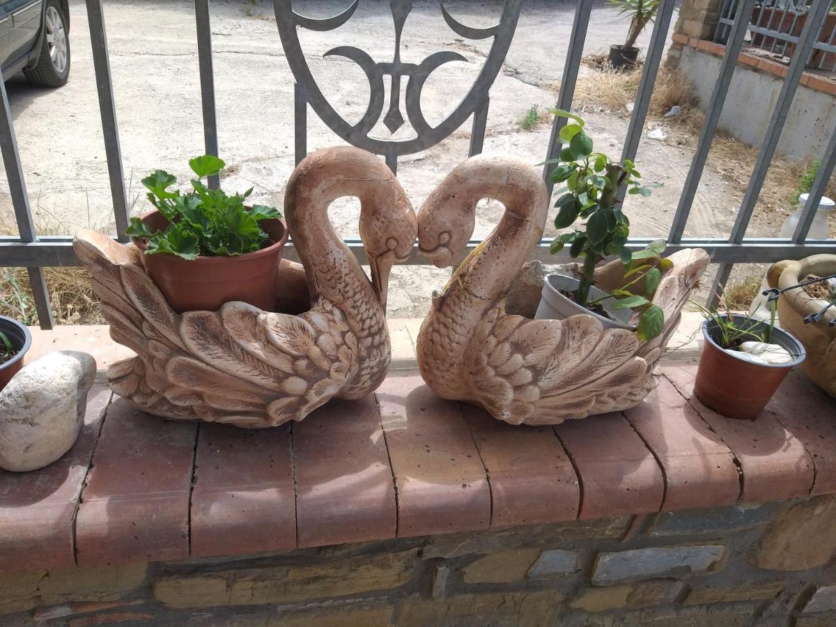 Villa Eden Agropoli Exteriör bild